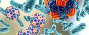 Лікарі за допомогою магнітів "витягують" бактерії з крові