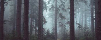 Ми можемо стримати зміни клімату. Ось з чого починати.