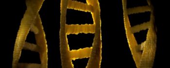 Тепер ми можемо будувати біомолекули з комп'ютерного коду - без людини