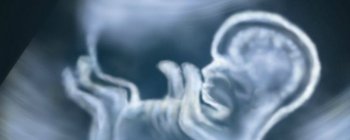 Лікарі провели першу успішну пересадку матці в США