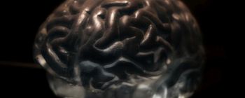 У вас є сила, щоб фізично змінити ваш мозок