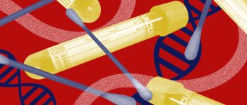 Дані сайту генеалогії призвели до арешту підозрюваного вбивці