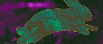 Кімнатна рослина з кролячим ДНК може очистити повітря у вашому домі