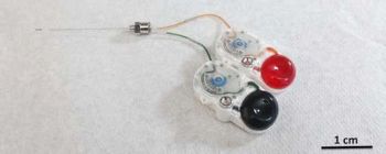 Голка розміром з людську волосину робить можливими ін'єкції головного мозку