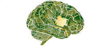 Нейронна мережа у мозку людини задля просунутого протезування