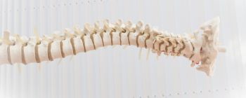 Нова клітинна терапія успішно відновила рух у паралізованих пацієнтів