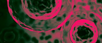 Новий проєкт допомагає картувати кожну клітину в організмі людини