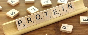 Білки були помічені в проведенні електрики, і вчені спантеличені