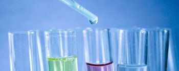 Вчені виявили спосіб запобігти втраті стовбурових клітин і поліпшити регенерацію тканин