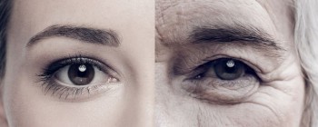 Безсмертя: Дослідники вважають, що тривалість життя людини має межу