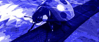 Новому ШІ від Гугла потрібно всього кілька знімків для 3d моделі свого оточення