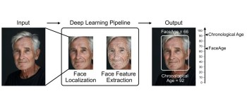 ШІ прогнозує результати лікування раку за фотографіями обличчя