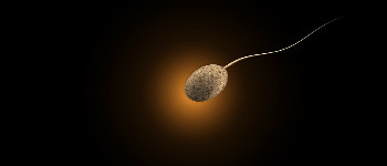 Вчені вважають, що забруднення повітря знижує кількість сперматозоїдів