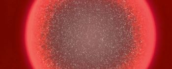 Мікроскоп зі штучним інтелектом може діагностувати смертельні інфекції крові