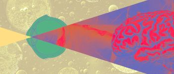 Сканування ока може виявити хворобу Альцгеймера до появлення симптомів