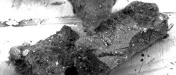 Астрономи виявили несподіваний мінерал у зразках астероїда Рюгу