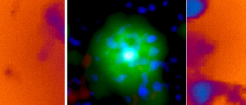 Незвичайне злиття, здається, створило новий тип зірки