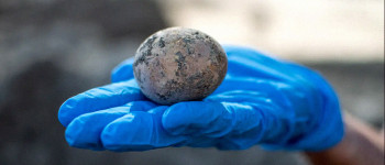 Археологи знайшли 1000-річне яйце та випадково розбили його