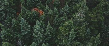 Як виявилося, екологічні заповідники не такі вже й захищені