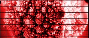 Астрономи сфотографували броколі на камеру величезного космічного телескопа