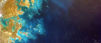 Австралія має великі плани з порятунку Великого бар'єрного рифу