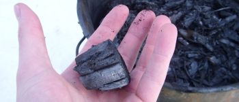 Біовугілля з людських відходів може послабити глобальну проблему нестачі добрив