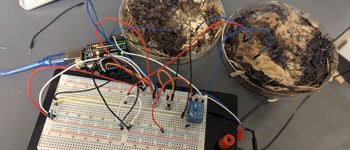 Біочипи з грибів конкурують за потужністю з сучасними напівпровідниками