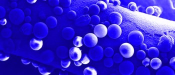 Біорозкладний «міст» може відновити пошкоджені нерви