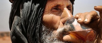 Чорний чай та ягоди можуть сприяти здоровішому старінню