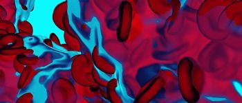 Рівень заліза в крові тісно пов'язаний з тривалістю життя