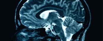 Дослідник стверджує, що виявив докази наявності "Шостого Сенсу" в організмі людини