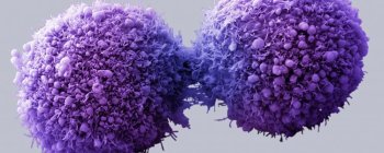  Затверджено перші в історії випробування на людях CRISPR редагування