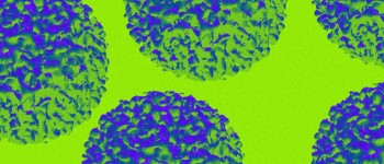 Канабіс прискорює ріст поширених пухлин