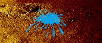 Китай стверджує, що їх місяцехід знайшов барвисту «гелеподібну» речовину