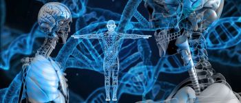 Китайські вчені заявляють, що вперше отримали генномодифікованих немовлят