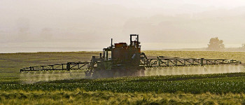 Звичайні пестициди викликають пошкодження головного мозку у дітей