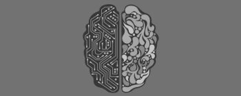 Дослідження показують, що зв'язок між обома половинами мозку зростає з віком