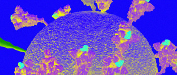 У 18% пацієнтів з коронавірусом розвиваються психічні захворювання