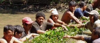 Танці та колискові не є універсальними людськими моделями поведінки