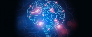 Гугловий ШІ, таємно завантажений в Інтернет, посіяв хаос серед геймерів