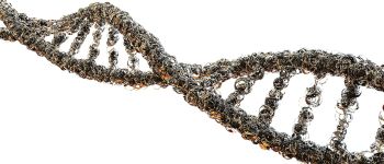 Це відкриття розвиває зусилля, спрямовані на запобігання поширенню раку