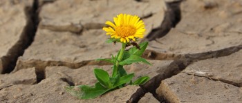 Лікарі призначають назальний спрей окситоцину одиноким людям