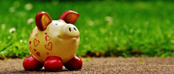 Лікарі трансплантували генетично модифіковане серце свині живому пацієнту