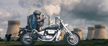 Дурніші люди - лише один з наслідків більш забрудненого майбутнього