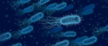 Бактерії, що виробляють електрику, стають більш корисними, ніж будь-коли