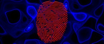 Кожен транзистор має «унікальний квантовий відбиток»