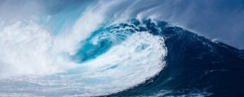 Експеримент в Арктиці показує, наскільки радикальним може бути потепління на один градус