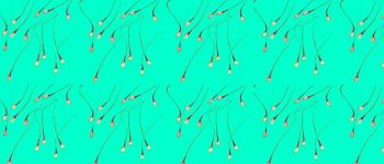 Вчені вперше виростили стовбурові клітини сперми людини в лабораторії