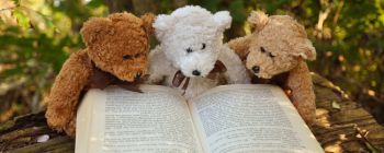 Вільна наука може бути відповіддю на епідемію «підроблених новин»