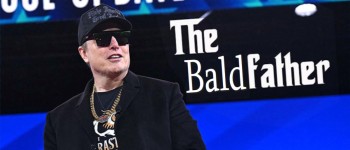 Вперше в лабораторії вирощено повністю функціональні волосяні фолікули